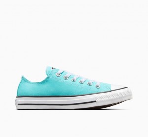 Blue Converse Chuck Taylor All Star Women's Low Tops | NZ CAKZD6950