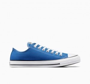 Blue Converse Chuck Taylor All Star Women's Low Tops | NZ DEOPQ2475