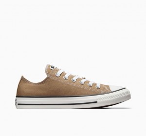 Brown Converse Chuck Taylor All Star Women's Low Tops | NZ FOLRB8947