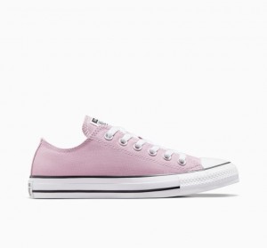 Pink Converse Chuck Taylor All Star Seasonal Color Men's Low Tops | NZ IWQUT8012