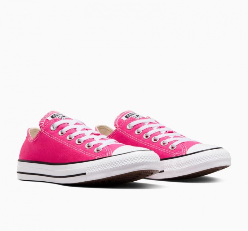 Fuchsia Converse Chuck Taylor All Star Men's Low Tops | NZ OAJSQ8536