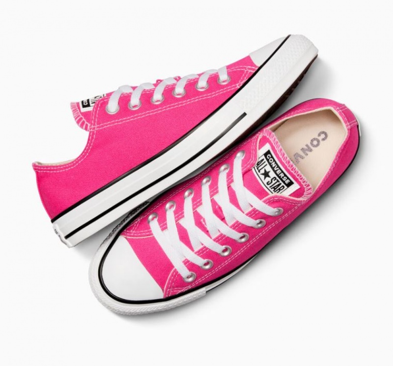 Fuchsia Converse Chuck Taylor All Star Men's Low Tops | NZ OAJSQ8536