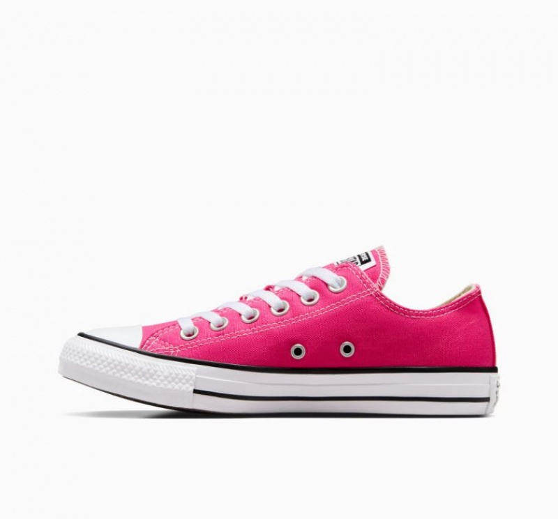 Fuchsia Converse Chuck Taylor All Star Men's Low Tops | NZ OAJSQ8536