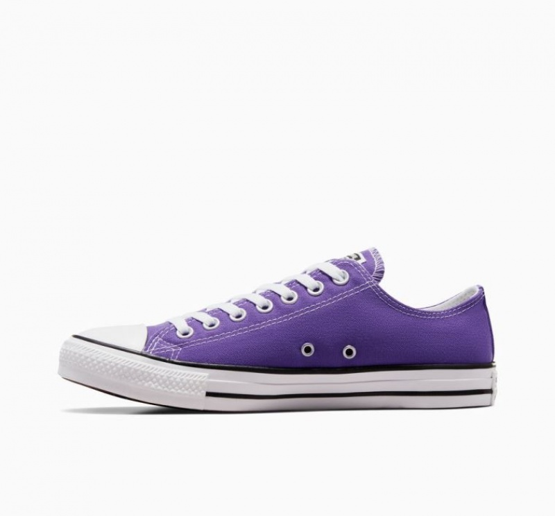 Purple Converse Chuck Taylor All Star Men's Low Tops | NZ NPTIG9852